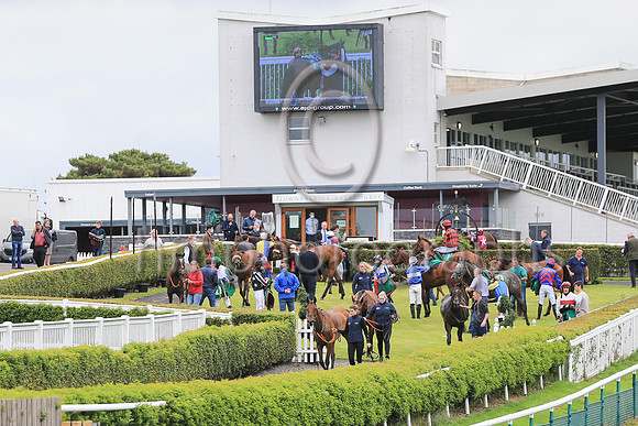 The parade ring at Downpatrick Race Course