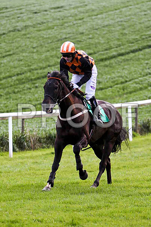 Definite Magic , 7th, Jockey - B T O'Connell - FT8E2892-e