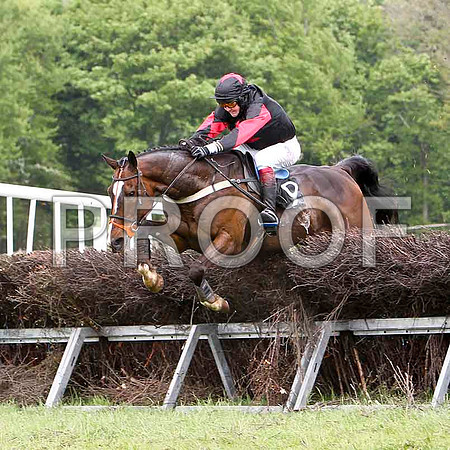 Maypole Dancer, Unplaced, Jockey C Cully - FT8E2544-e