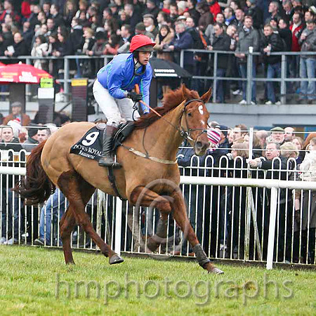 Rocklet , Jockey R Geraghty - 3rd - CU2D1984-e