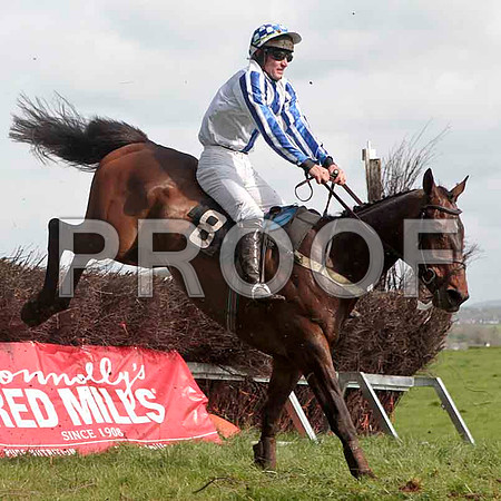 Derryogue, 3rd, Jockey - W G Rankin -CU2D4635-e