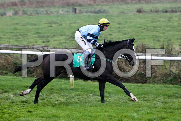 Call Box - Winner, Jockey Mr B G Crawford - FT8E5459-e2