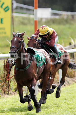 Lake Return - 2nd, Jockey D J Bates  -CU2D9438-e