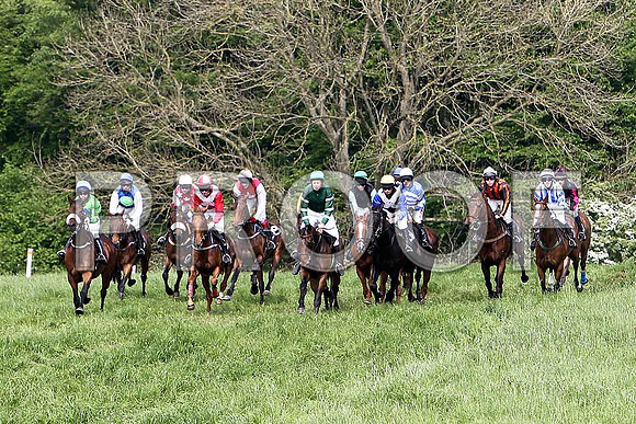 Fifth Race Div 2 - Alabama Baby (10) Winner, Rider B F Brabazon - 3rd from right black and amber stripes - CU2D9684-e