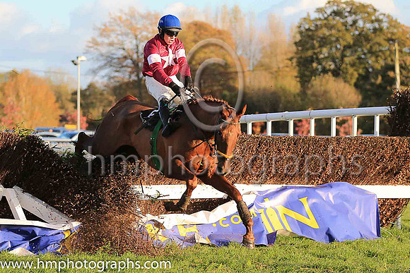 06th Net D'ecosse and Paul Townend ( 5 , maroon, white star, blue cap) Trainer - N Meade , Owner - Gigginstown House Stud