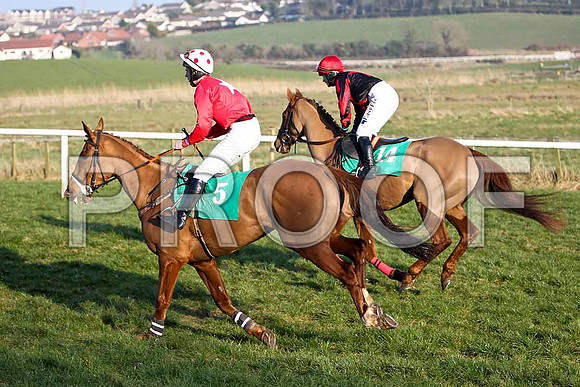 De Danu (5) 6th, Jockey Mr N T slevin & Vincent Pipe, U , Jockey Ms K Walsh - FT8E0563-e