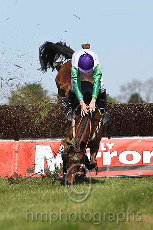 Tammys Hill - Fell, Jockey M W Bowes - FT8E2202-e