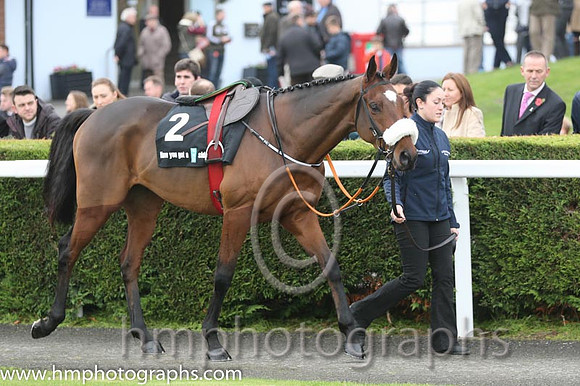 07 Tiger Roll and B J Cooper - PU - 07th (2 ,maroon white star ) Trainer - G Elliott