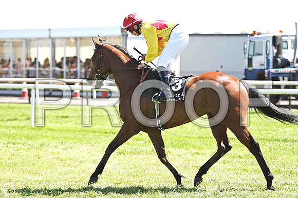 First in Command 3rd, Jockey R P Whelan - CU2D0198-e
