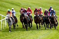Hang Up My Boots 5th, Jockey A P Thornton in the lead - FT8E3022-e