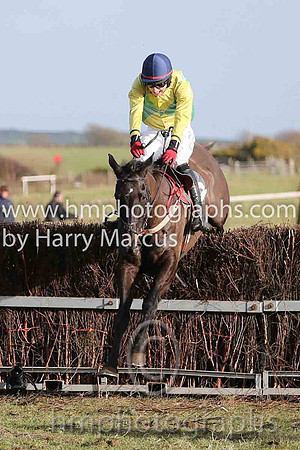 01 Mr Bolt  D H Lavery - Trainer : Sean McParlan, Black and tan check