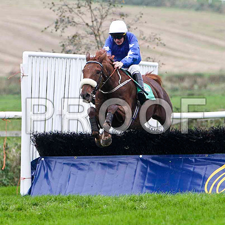 Castle Ranger - winner - Jockey Mr M J O'Connor - FT8E5295-e2