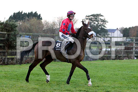 Another Ambition - 4th - Jockey Ruby Walsh - CU2D0782-e