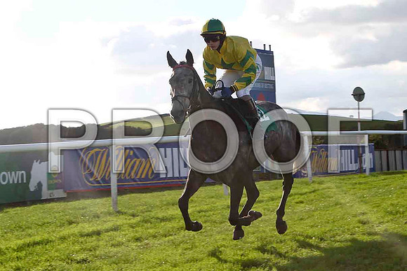 Black Rock Lake , Jockey P Townend - 2nd - FT8E4403-e