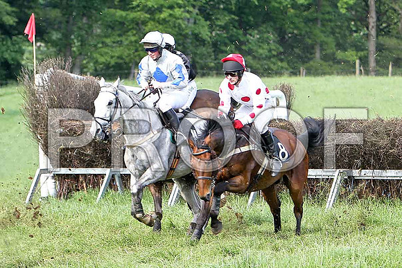 Race 6 Div 1 - Grand Cherokee (11) 6th , Rider P J Cosgrove & Dunsford Park (8) 5th, Rider E Magee - CU2D9751-e