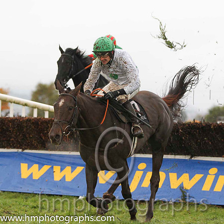 01 Twin Plan & R Walsh -  winners (7, white, emerald green large spots)- FT8E0465-23