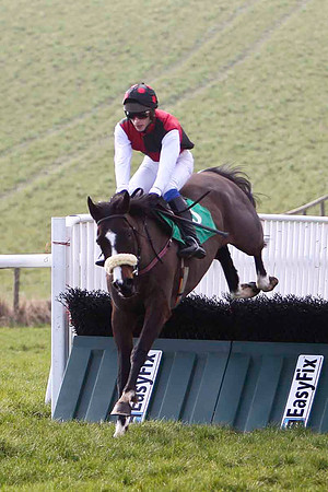 Garamor Boy - Winner, Jockey M P Burke - FT8E0415-e