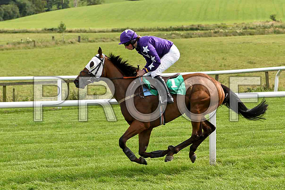 City Hustler 3rd , Jockey Mr M P Fogarty - FT8E2944-e