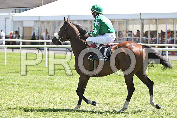 Johnstown Lad 9th, Jockey M Harley - CU2D0200-e