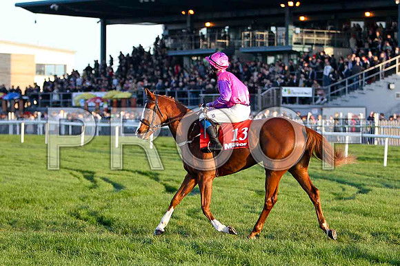 Cabra Cruizor - 13th , Jockey Mr J T Carroll - FT8E7285-e