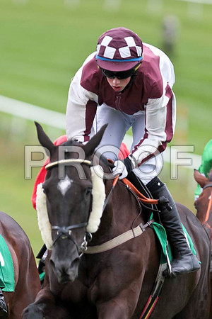 She Will Return - 8th , Jockey B J Cooper - CU2D9466-e