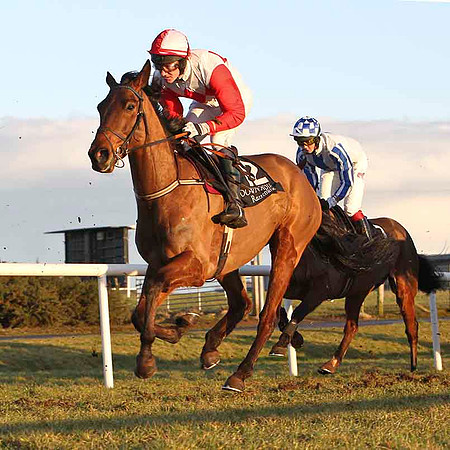 Flycorn 6th , Jockey Mr J T Carroll - FT8E0001-e