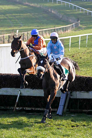 Inoma James (white noseband) , 8th Jockey C D Maxwell -FT8E0491-e