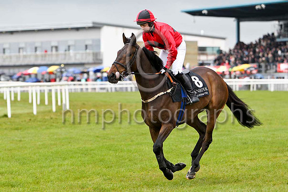 Rising TIme (8, red, black triple diamond) & M N Doran - 3rdFT8E2824-e
