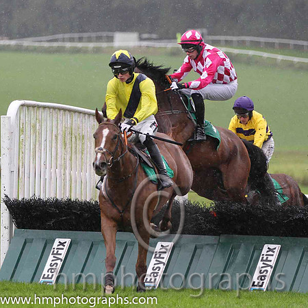 01 Old Kilcash & D E Mullins - winner (5, yellow, dark blue sash) - FT8E8905-13