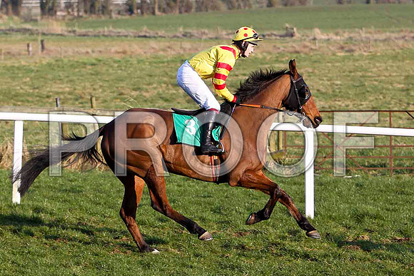 Ballyvoneen -  Fell, Jockey Mr R P Quinlan -  FT8E0549-e