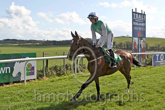 Perfect Gentleman & Mr P W Mullins - 4th (2, emerald green, pink diamond and sleeves) - CU2D2260-e