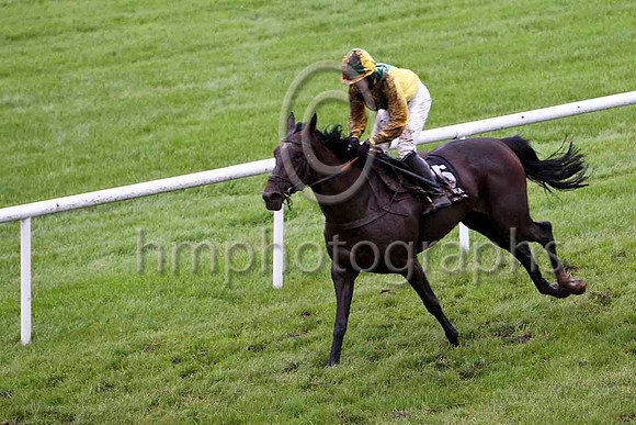 Pollydollydoodle & Miss J M Mangan - 3rd (15, yellow,emerald green chevron) - FT8E5489-e