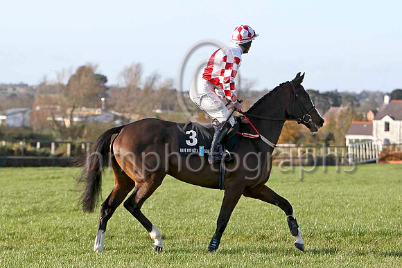 Kalann 2nd , Jockey M Darcy - FT8E6509-e