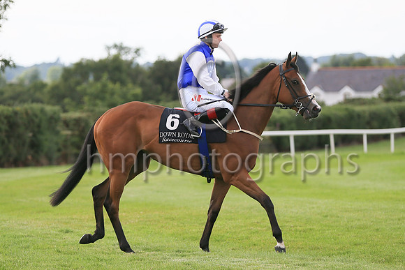 01st Amazing Show (6 , light blue, white disc ) Jockey: C T Keane , Trainer: G M Lyons