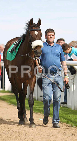 Lemons Legend 10th, Jockey P J Carberry - CU2D1642-e