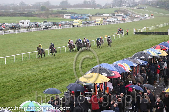 Race 5 The Dark Horse Wine Bar Maiden Hurdle at Down Royal on Boxing Day 2014