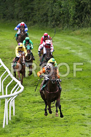 Down the Dale the eventual winner, Jockey T C Carroll in the lead followed by Templar Knoght 2nd, Jockey P Carberry and Breeze with Ease 3rd Jockey E J O'Connell - CU2D0780-e