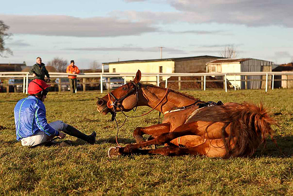Rocklet (11) Fell - Jockey , M J Bolger - CU2D3286-e