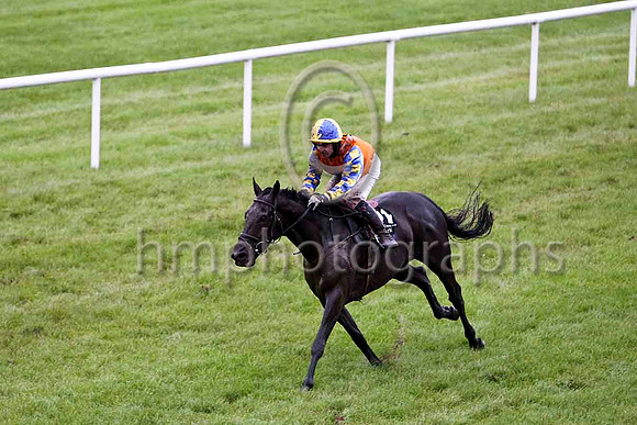 Mister Nibbles & Mr S Crawford - winner (21, orange, royal blue star) - FT8E5480-e