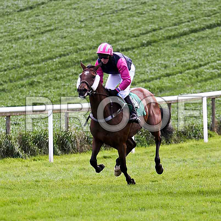 Pretty Valira , 4th, Jockey - M J Bolger - FT8E2885-e