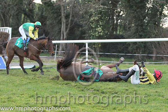 12 & 10 FergieTheLegend & Mr J P McKeown - Fell (4, black and yellow stripes ) - FT8E1485-27