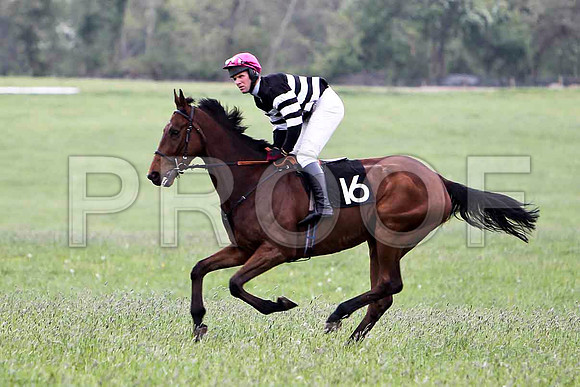 Cairncastle , Fell, Jockey - J D Moore - FT8E2264-e