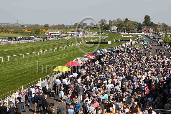 Large crowds at Down Royal on May Day 2017