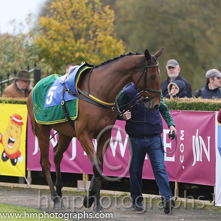 01 Road To Riches and P Carberry - - 01st (5 ,maroon, white star, white cap ) Trainer - N Meade