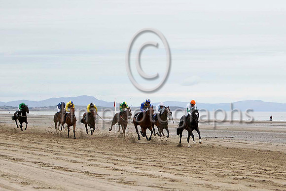 Curl Cat ,Winner in the lead, Jockey Mr M P Fogarty -FT8E4270-e2