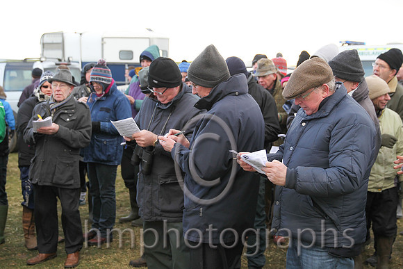 Spectators mark their cards at Tyrella
