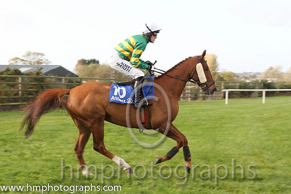 16 Dear Boss & A P McCoy - 16th (10, emerald green and orange hooped) - CU2D8917-26