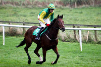 Sir Ejay , 9th - Jockey S W Jackson - FT8E5255-e