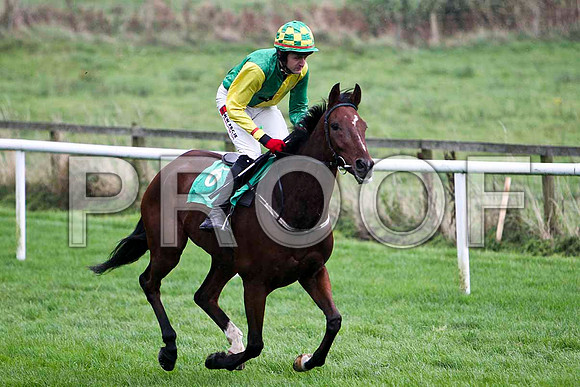 Sir Ejay , 9th - Jockey S W Jackson - FT8E5255-e