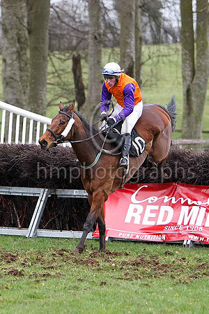 Sixth Race -Shanran 3rd - CU2D7178-e
